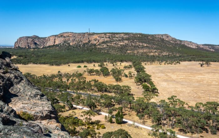 Moving from Adelaide to Horsham Timelines Logistics and Choosing a Reliable Removalist